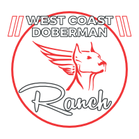 West Coast Doberman Logo